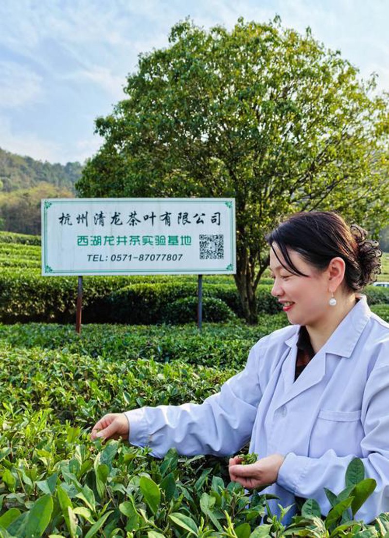 花茶批发