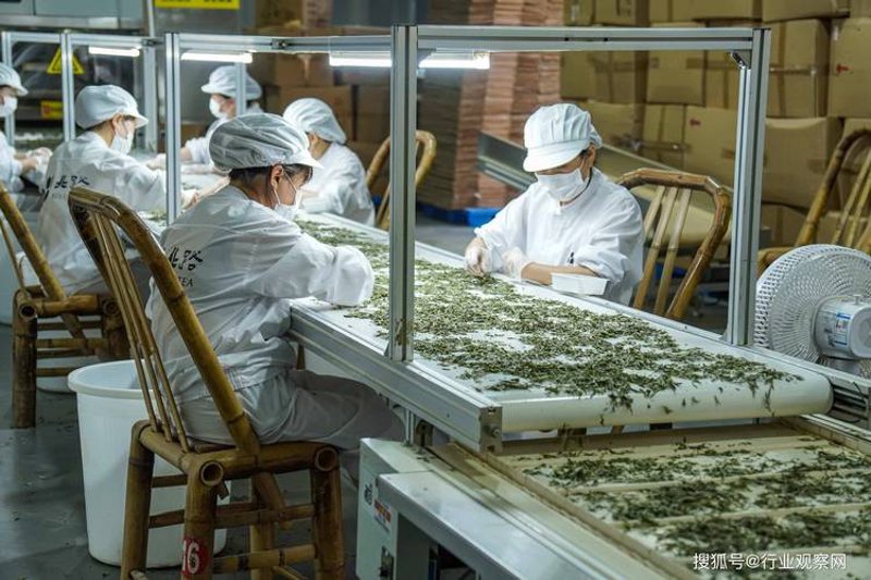 济南茶叶批发:城市绿意中的生活艺术